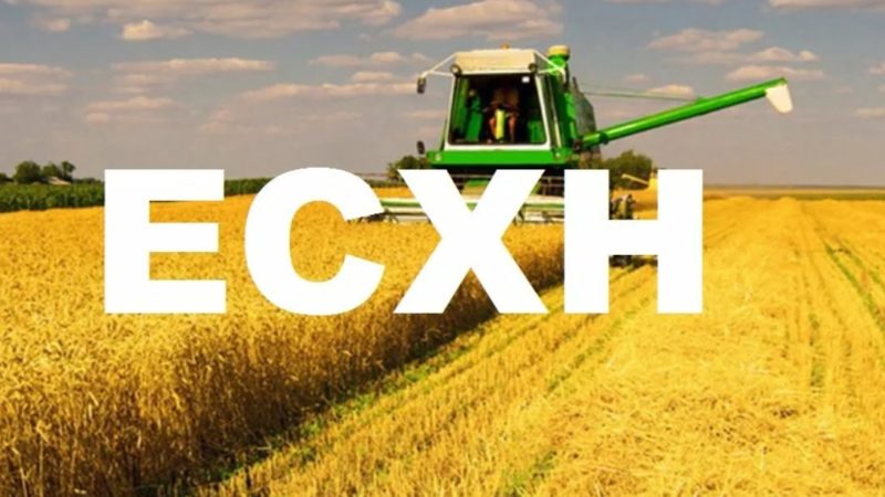 Ружанам – об освобождении от уплаты налога на имущество плательщиков ЕСХН