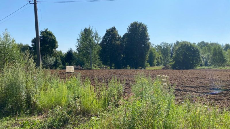 В Рузском округе проводятся работы по сносу аварийных домов