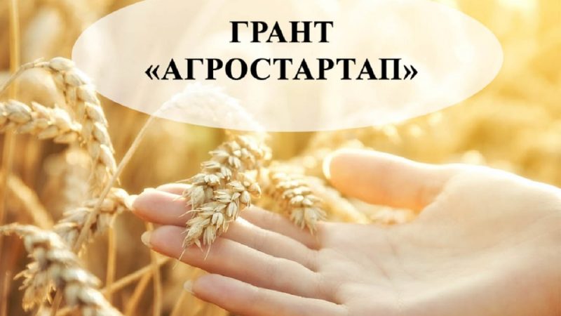 Ружанам – о конкурсном отборе на получение грантов «Агростартап»