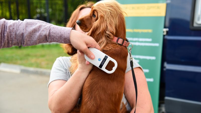 Ружан информируют о возможностях портала «Мой АПК»