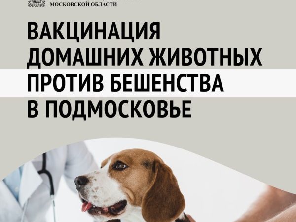 На Городке пройдет выездная вакцинация домашних животных