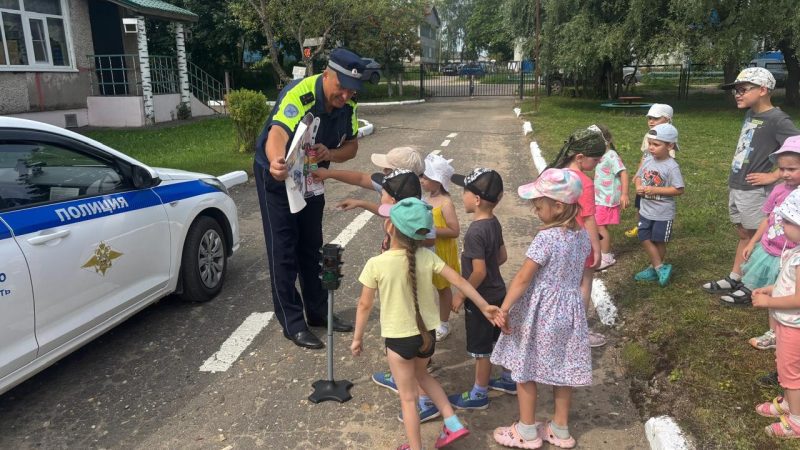 Орешковским ребятишкам рассказали о светофоре