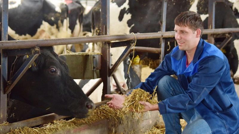 Фермеры смогут пройти онлайн-обучение по продаже продукции через интернет