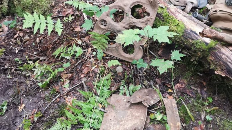 В Рузском муниципальном округе обнаружили место крушения военного самолёта времён ВОВ