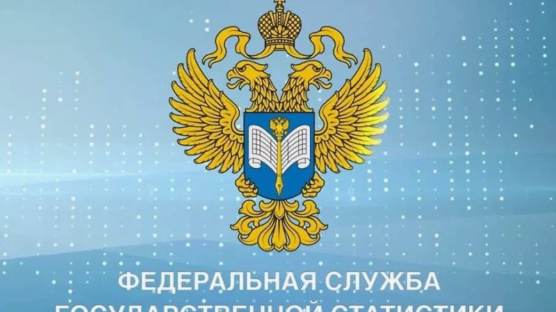 Рузским предпринимателям – об отчете №1-ИП (торговля)