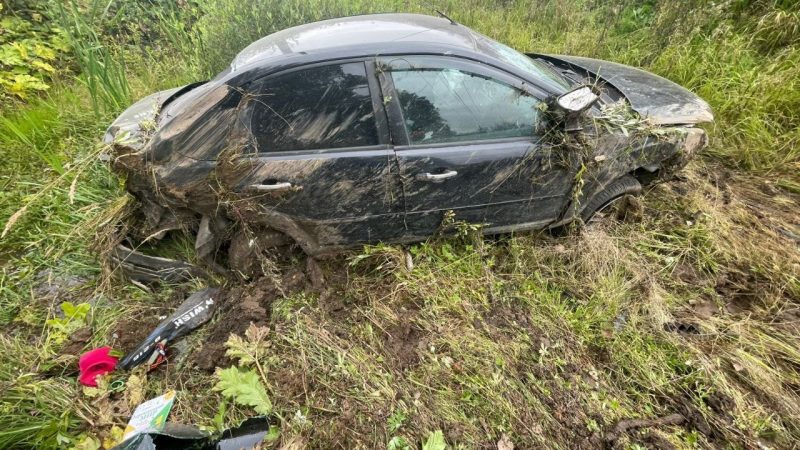 В ДТП в Рузском округе пострадал несовершеннолетний пассажир