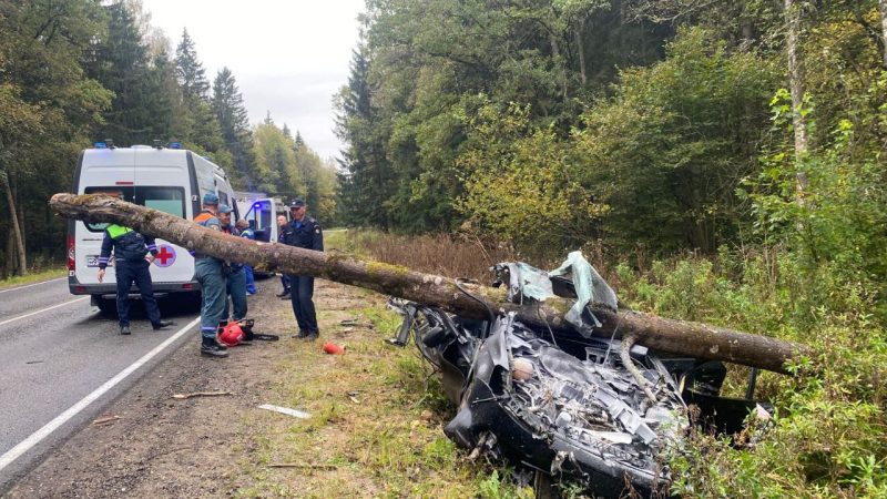 В ДТП в Рузском округе пострадал несовершеннолетний пассажир