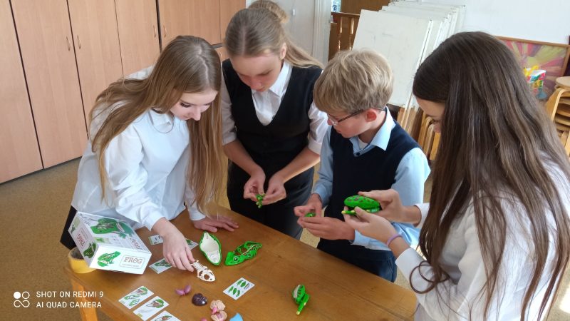 Ученицы Покровской школы стали победителями экологического конкурса