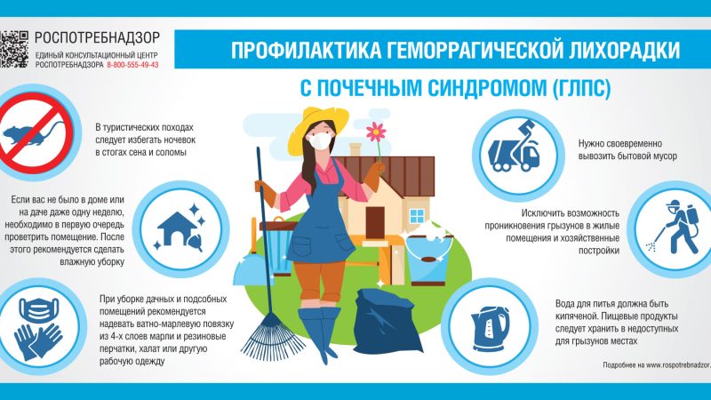 Ружан информируют об опасности заражения геморрагической лихорадкой с почечным синдромом