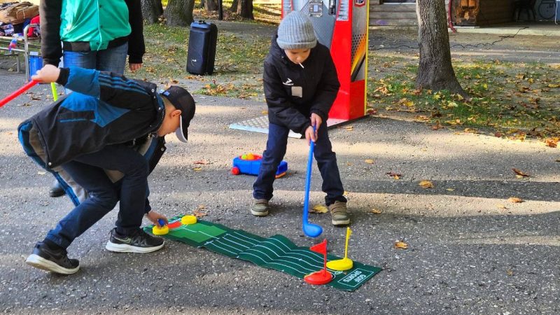 В Рузском парке «Городок» прошли системные мероприятия