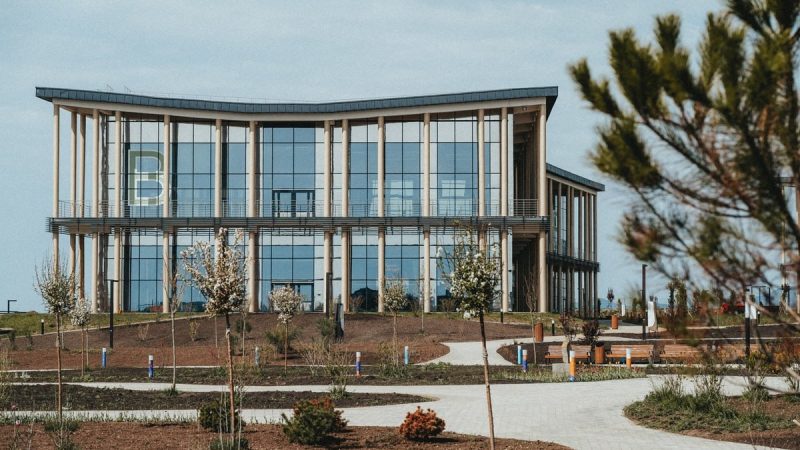 Волонтёрами «Зелёного фестиваля» в Крыму могут стать ружане