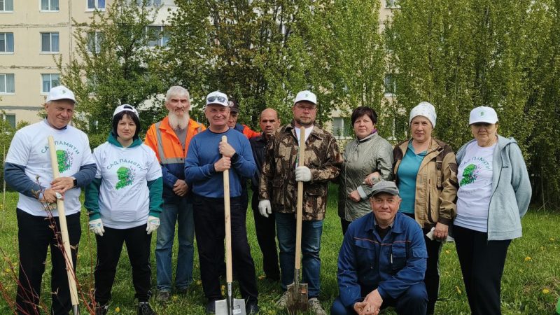 В Рузском округе пройдёт акция «День в лесу. Сохраним лес вместе»