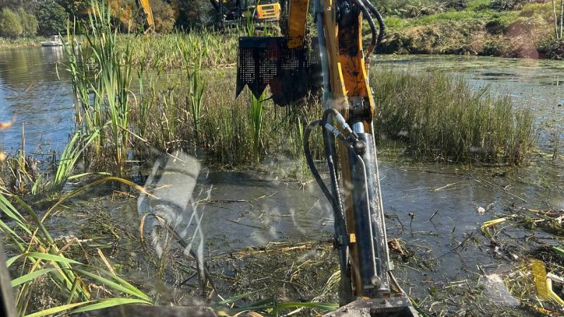 В Рузском округе приводят в порядок водные объекты