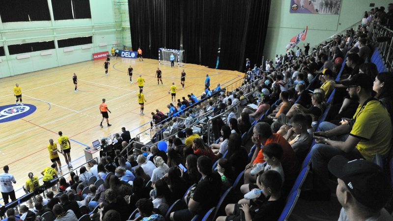 Ружан приглашают на матчи чемпионата России по гандболу