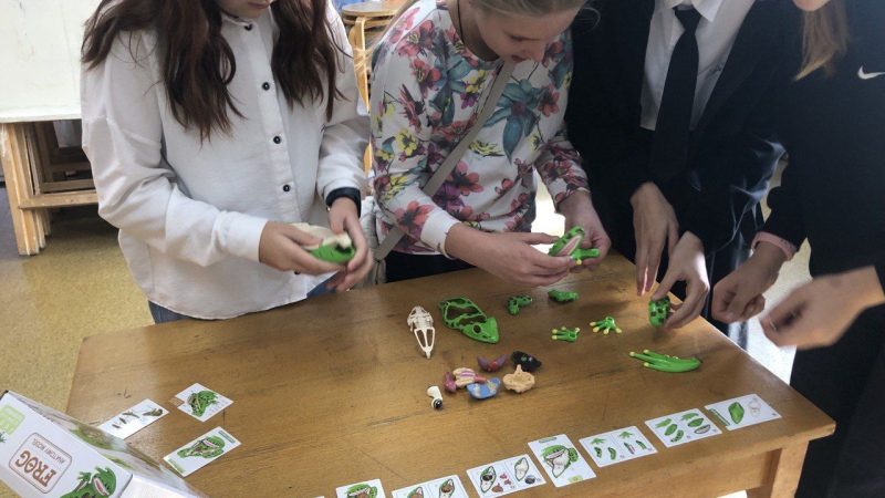 Школьники Рузского округа участвовали в экологическом конкурсе