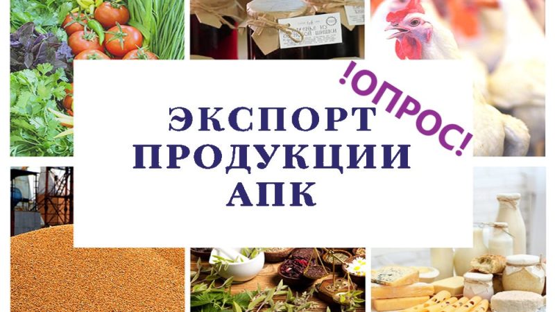 Рузских предпринимателей приглашают пройти опрос «Экспорт: куда обратиться за поддержкой в 2025 году?»