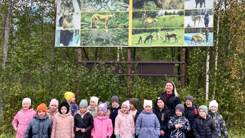 Увлекательное путешествие в мир дикой природы
