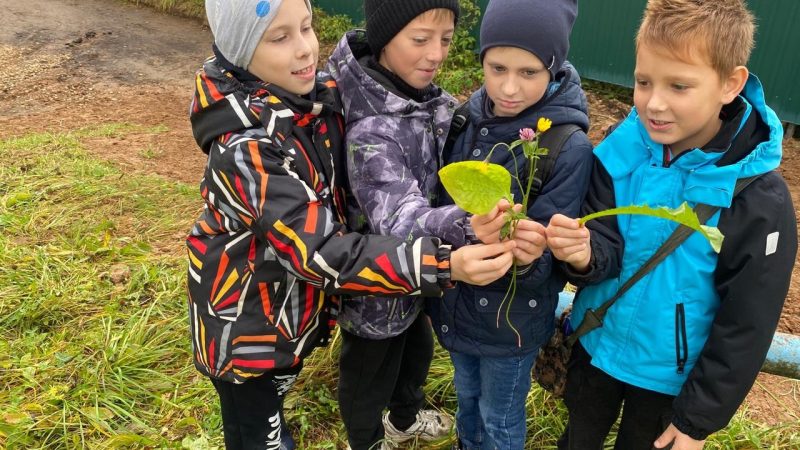 Юные натуралисты исследуют родной край