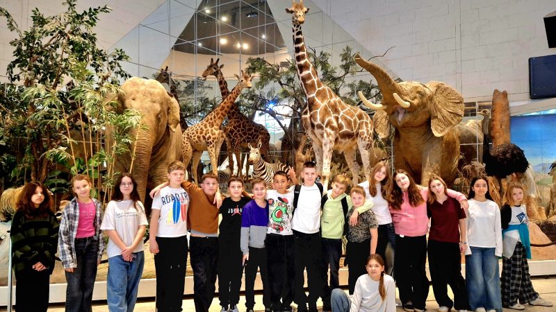 Ученики Тучковской школы познакомились с миром древних животных