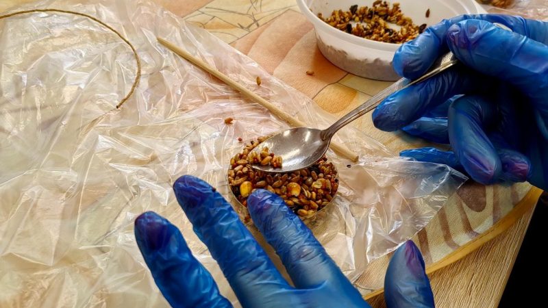 Мастер-класс «Птичьи кормушки» прошел Рузе