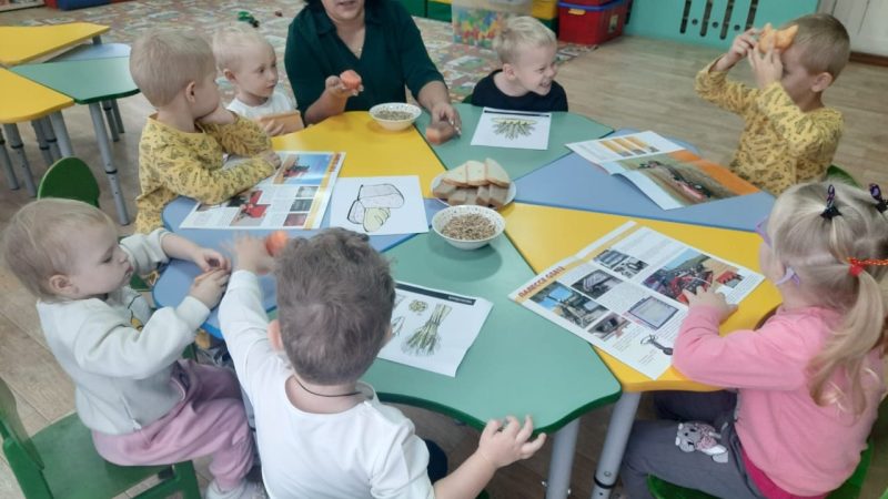 Открытое занятие «Откуда к нам хлеб пришёл» в ДО Лидино