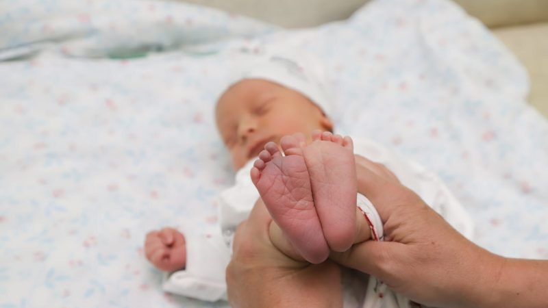 Жителям Рузского округа о процедуре ЭКО