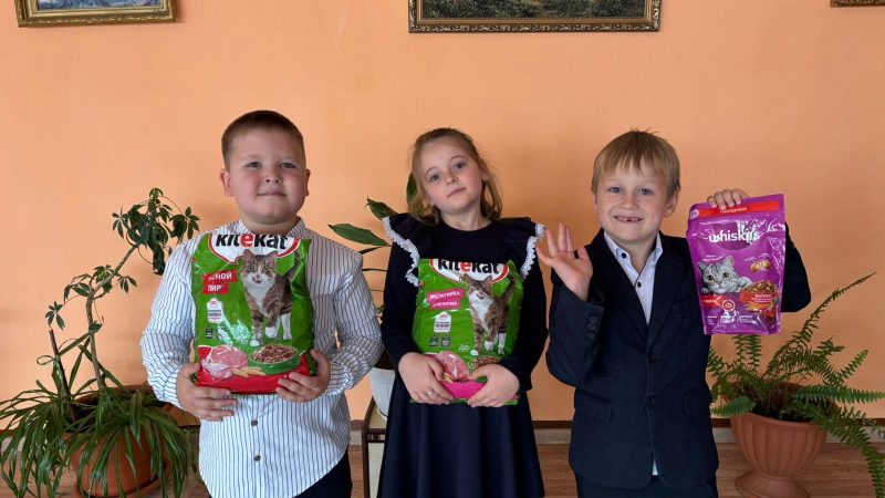 «Лапки, которые ждут любви»: школьная акция помощи бездомным животным