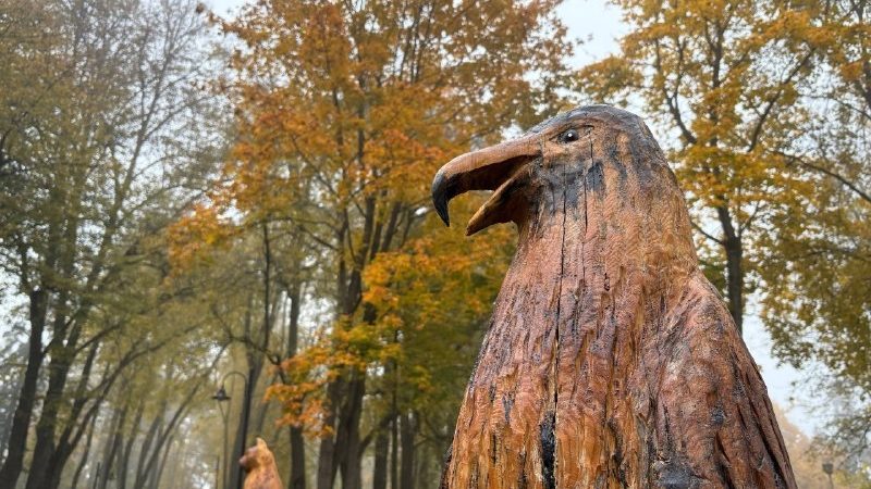 Творческие экспонаты в парке «Городок»