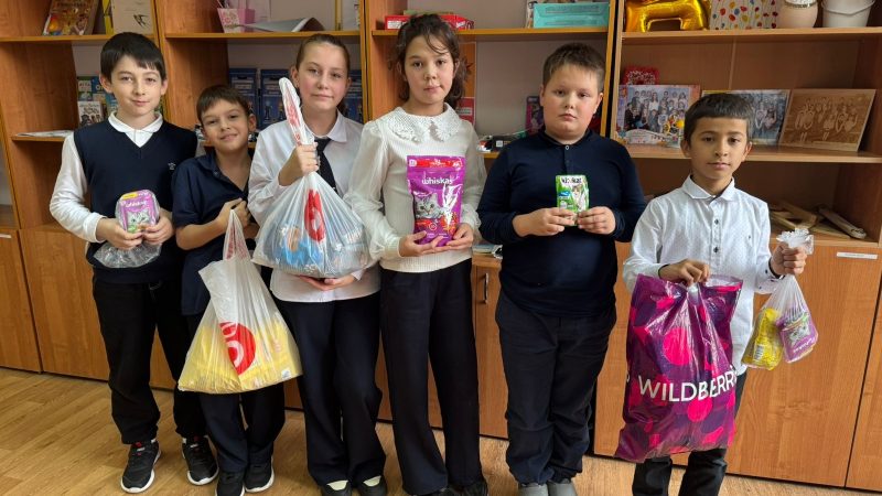 «Большая помощь маленькому другу»: школьная акция добра