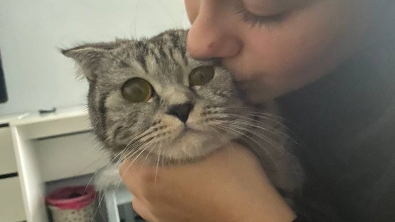 Всемирный день защиты животных в Покровской школе