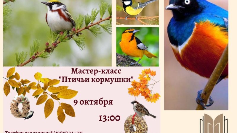 В Рузе приглашают на мастер-класс «Птичьи кормушки»