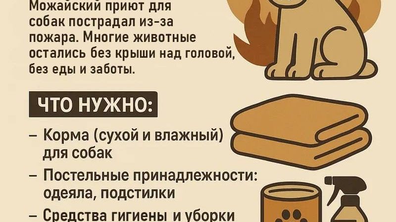 Друзья, нужна ваша срочная поддержка Можайскому приюту для собак