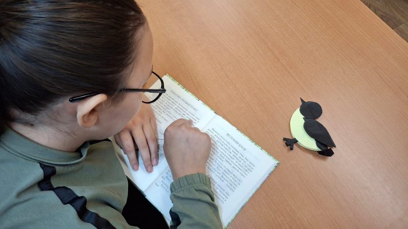 В Старорузской библиотеке прошёл мастер‑класс «Птичка‑синичка»