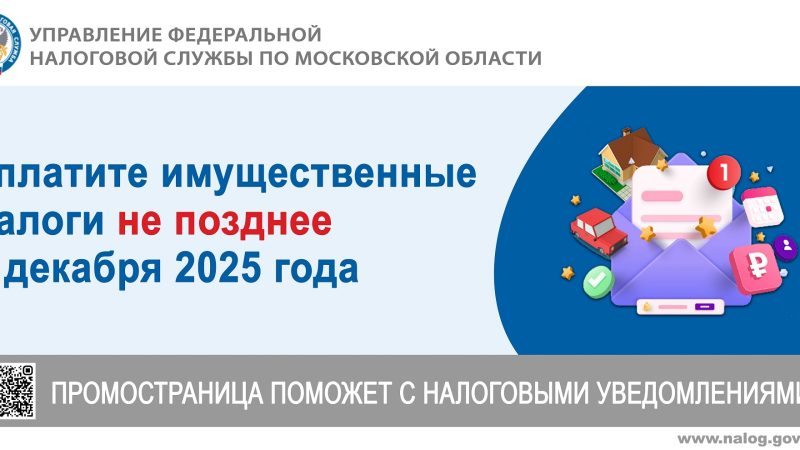 Уплатите имущественные налоги за 2024 год не позднее 1 декабря