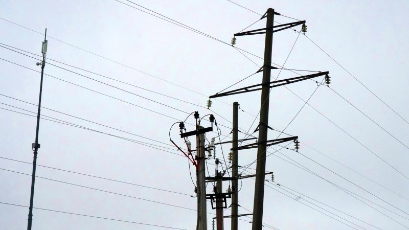 В Рузском округе проводят плановый ремонт линий электропередач