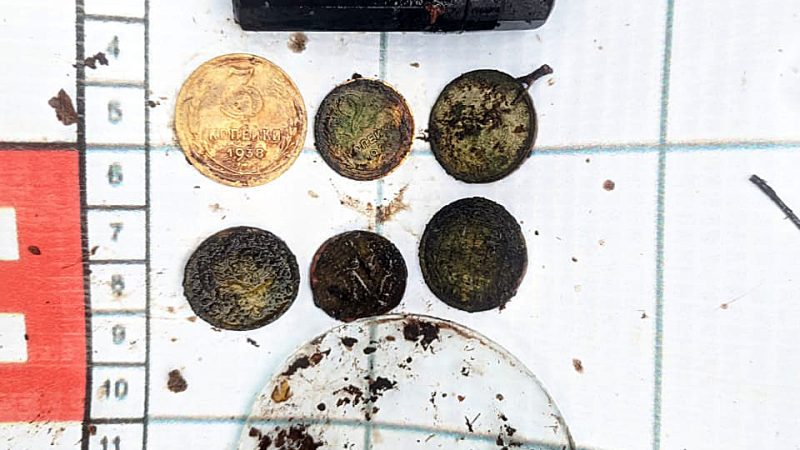 Останки шести бойцов Красной армии найдены в Рузском округе