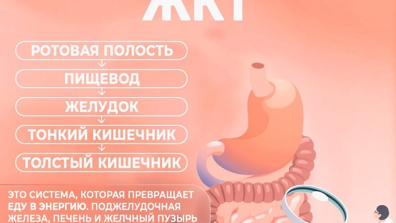 Заболевания желудочно-кишечного тракта: как сохранить здоровье