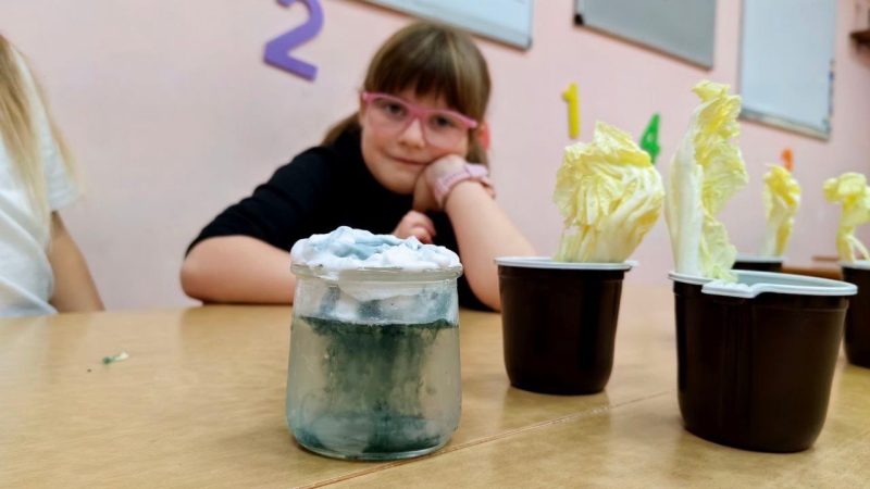 Экспериментариум для первоклассников: наука открывает тайны