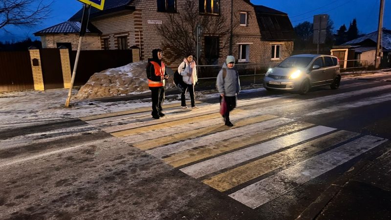 «Родительский патруль»: вместе за безопасность детей на дорогах