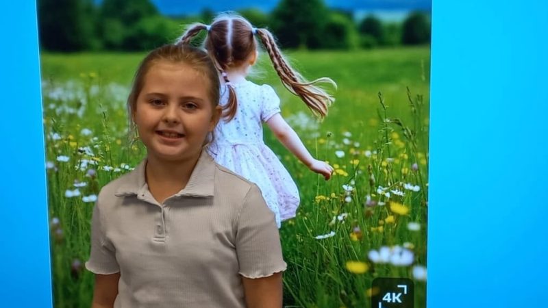 Ученицы Покровской школы стали призёрами творческого конкурса