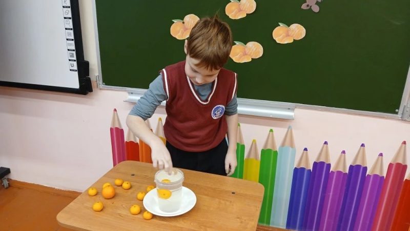 Увлекательный урок провели для нестеровских лицеистов