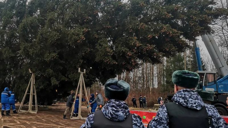 Росгвардейцы обеспечивают сохранность главной новогодней ёлки страны