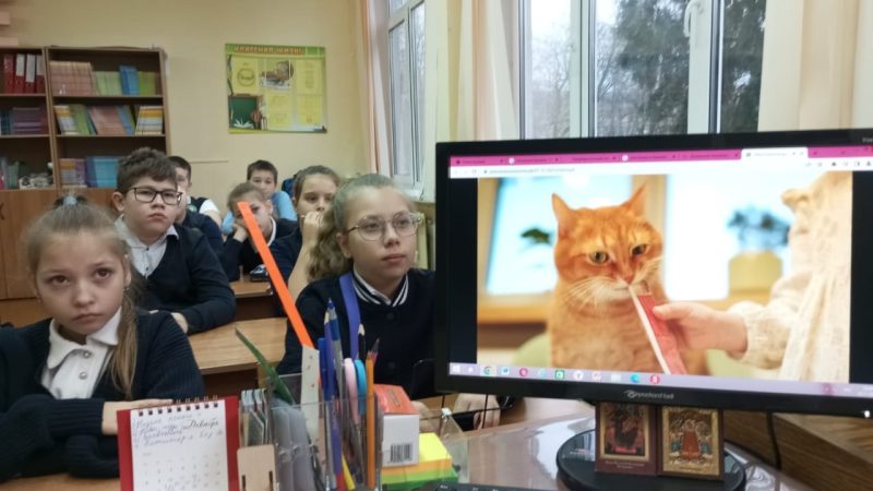 «Разговоры о важном»: школьники Нововолково поговорили о домашних питомцах