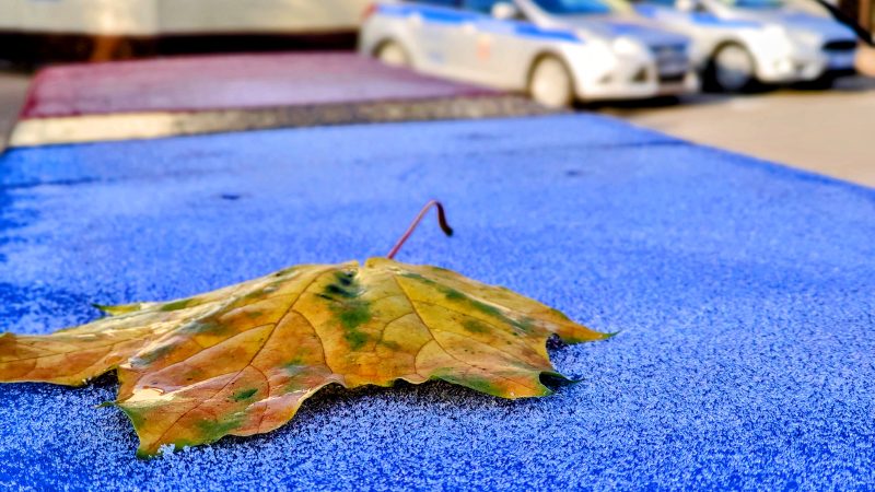 В декабре Госавтоинспекция Рузского округа проведёт оперативно-профилактические рейды