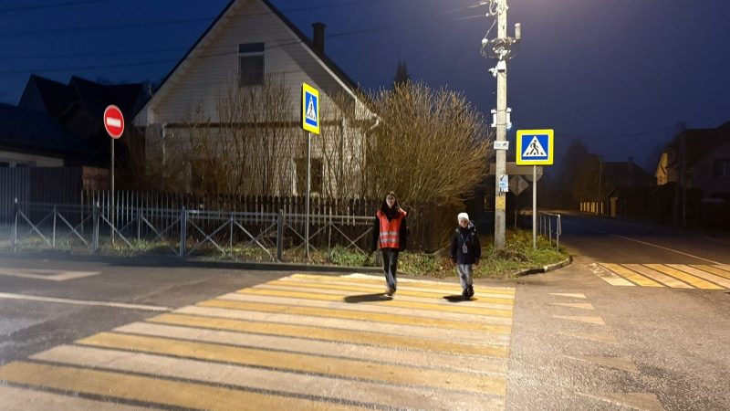 «Родительский патруль»: вместе за безопасность на дорогах