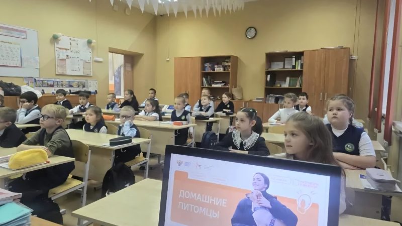 «Разговоры о важном»: школьники Рузы поговорили о домашних питомцах