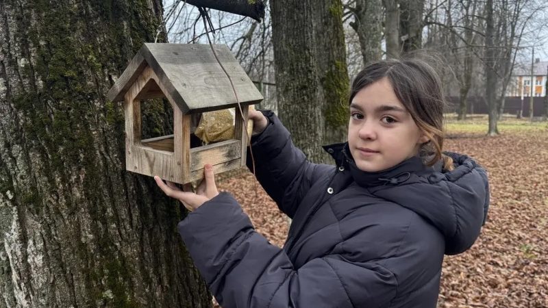Экологическая инициатива школьников: «Пернатый квартал» в Рузе