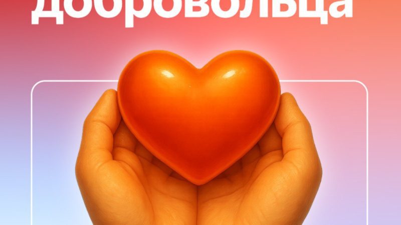 Глава Рузского округа поздравил добровольцев с Днём волонтёра  
