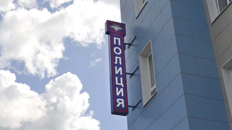 Рузские полицейские ведут поиск мошенников, которым 12-летняя жительница перевела сбережения отца