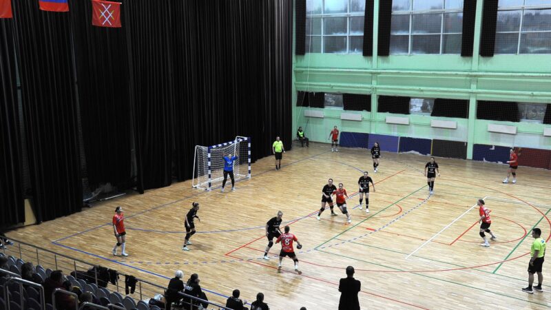 Ружан приглашают на матчи чемпионата России среди женских команд Высшей лиги по гандболу